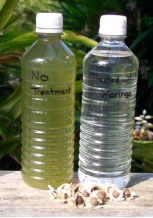 water-treated-with-moringa